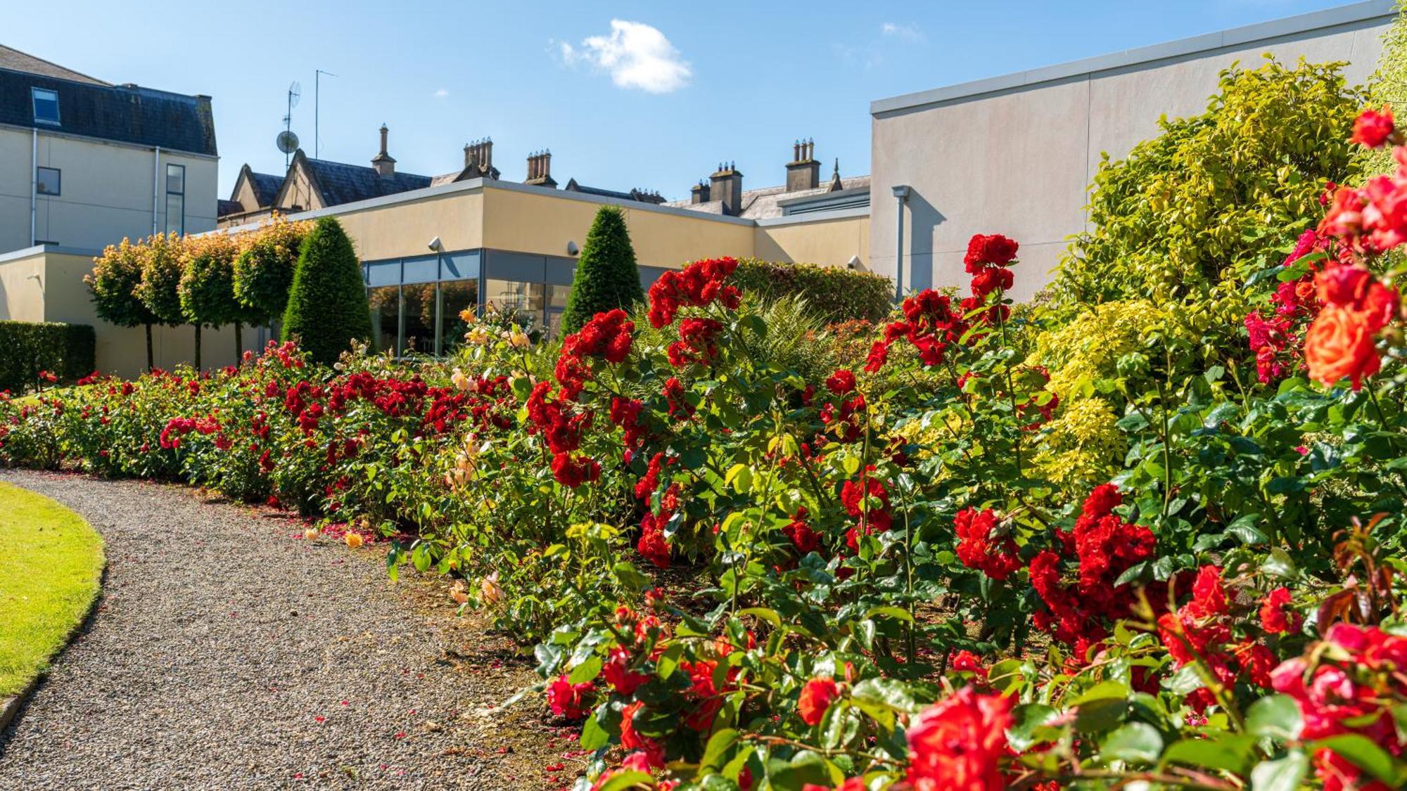 Ballymascanlon Hotel And Golf Resort Dundalk Ngoại thất bức ảnh