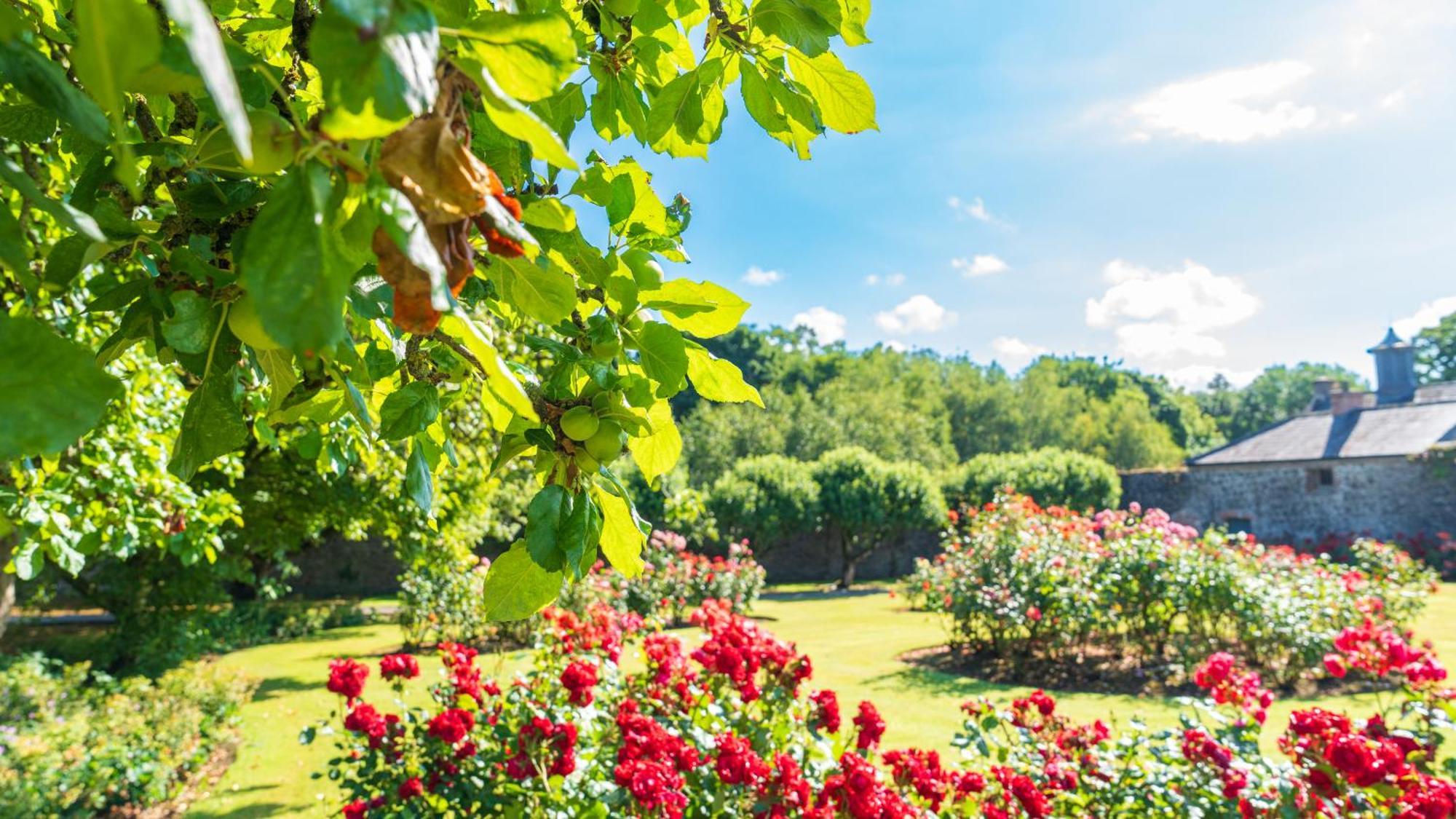 Ballymascanlon Hotel And Golf Resort Dundalk Ngoại thất bức ảnh